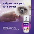 Feliway   Classic Cat Calming Spray  60ml - 2 Fl Oz  pack Of 1   Clear