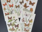 Vintage Butterfly Prints     5 Botanical Book Pages For Diy Junk Journal   Collage