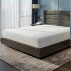 Zippered Encasement Mattress Protector Waterproof Bed Bug Mattress Protector