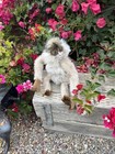 Hansa Thomas Boland Monkey Plush Realistic Spider Monkey 14    Soft
