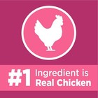 Proactive Health Adult Urinary Tract Healthy Dry Cat Food With Chicken Cat Ki