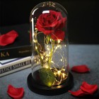 Beauty And The Beast Rose Led Enchanted Galaxy Rose Eternal Flower Lighted D  cor