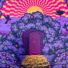 Hinterland Festival Purple Saint Charles 2024 Signed Screen Print Poster X 35