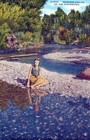 Princess Utalah Of The Clearwater Kodachrome By Cecil Nixon Linen Post Card