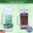 No Mess Bird Feeder Water Dispenser For Cage automatic Bird Cage Feeder Water
