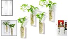Stylish Wall Planter - 4 Cylinder Hanging Glass Tubes For Indoor Gardening