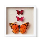 Target Shadow Box Frame Craft 12 x12  White - Mondo Llama    Retails  16