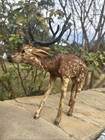Vtg Victorian Style Real Fur   Leather  Deer Animal Hand Painted Figurine  11   