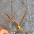 Yakashi Scissors