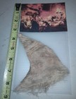 Spaceship Earth Epcot Center Prop Disney Caveman Fur Display