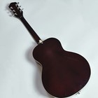 Dobro Electric Guitar 6 String Semi-hollow Body Two Pickups With Resonator