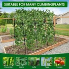 Garden Cucumber Trellis For Climbing Plants Outdoor  50x48 Inch U Shaped Cucu   