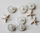 Seashells At The Seashore   Glitter Seashell Buttons   Jesse James   Dress It Up