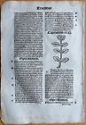 Post Incunable Leaf Hortus Sanitatis Woodcut Botany Water Lily - 1511