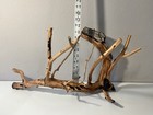 Manzanita Driftwood  Reptile Tank Decor   Aquascape  Terrarium  Aquarium Wood