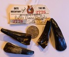 5 Drilled Genuine Buffalo  Teeth From The American Indian Museum