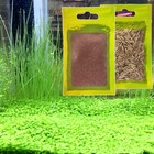 Aquarium Plant S e e ds  Not Fish Tank Aritificial Plastic Plant 10gram Mini-   