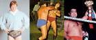 35 Pro Wrestling Dvds  Classic Pro Wrestling From 1980 