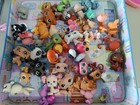Lps Littlest Pet Shop Original 5pcs And Random Accessories 