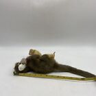 2012 Hansa Plush Toy Squirrel Monkey Realistic Stuffed Animal
