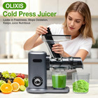Cold Press Juicer  Slow Masticating Juicer Machines With Extra Wide Feed Chute 