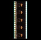 Lotr   Fellowship Of Ring - Frodo - 35mm 5 Cell Film Strip Fl529