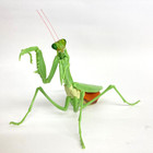 Bandai Gashapon Mantis Action Figure Green Expanded Abdomen 15cm Japan