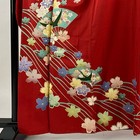 Furisode Length 163cm Sleeve 69cm L  Fan  Cherry Blossom  Gold-colored  Red  Pur
