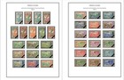 Color Printed French Colonies  x13  1859-1947 Stamp Album Pages  141 Ill  Pages 