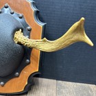 Whitetail Deer Antler Plaque Taxidermy Mount For Sale 3 Point