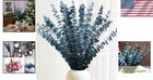 Blue Green Eucalyptus Stems 16-17 Inches Pack Of 16 Natural Preserved Flowers