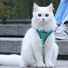 Aiitle Dog Harness  Spring No-pull Cat Harness With A Leash  Adjustable