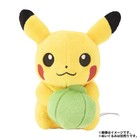 Pokemon Center Mochimono Mini Mini Mascot Plush Berry Sitrus Pecha Oran Jpn New
