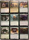 Edh Bear Deck - Commander Mtg Magic The Gathering