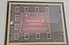 Sleeping Beauty  1959  Authentic 35mm Movie Film Cell 8x10 Matted Display - Coa