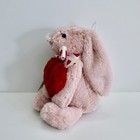 Snug Pink Bunny Valentine Love Plush Soft Baby Toy Stuffed Animal Lovey 12 