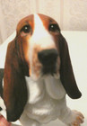 Bassett Hound By Border Fine Arts - Perfect Condition