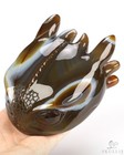 5 0  Premium Brazilian Agate Hand Carved Crystal Toothless Dragon Head Fine Art