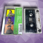 Vtg Reel Big Fish  turn The Radio Off  1996 Cassette Tape Tested Ska Punk Mojo