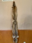 Professionally Tanned  Western Heavy Coyote Pelt Xl Select Grade 