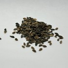 Mexican Weeping Pine Bonsai Tree Seed Pack Pinus Patula