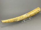 Vintage Replica Scrimshaw Walrus Tusk The Bark Cavalier Of New Bedford - Resin