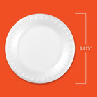 Hefty Everyday Soak Proof Disposable Foam Plates  8 8 Inches  150 Count