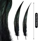 Ihufeather Natural Rooster Tail Feathers 50pcs 10-12inch Long Rooster Coque T   