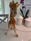 Cute Vtg German Steiff 1950s Mohair Giraffe 18  -  No Ear  Button Or Tag  Guc