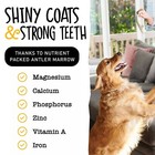 Deer Antler Split  Long Lasting Dog Chews  Naturally Shed Deer Antlers