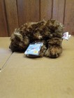 Webkinz Grizzly Bear Plush Only Brown Bear Ganz Plushie No Code Hm187 