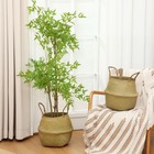 4 Pcs Woven Seagrass Baskets Belly Basket Folding Boho Natural Plant Pot With   