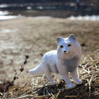 Arctic Fox Figurine - Detailed 3 25  Plastic Model Figure - Fun Educational Play