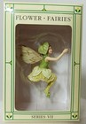 5 Cicely Mary Barker Flower Fairies Ornament Series Vi-vii Retired Nib Figurine